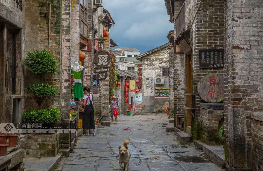 春雨直播app